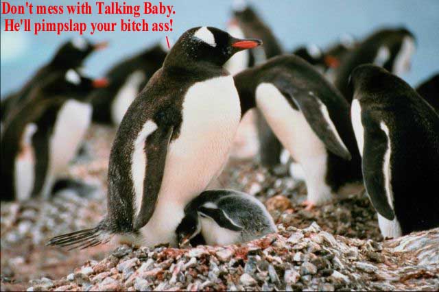 penguin.jpg